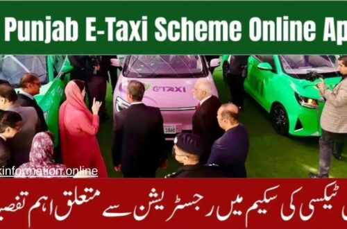 An official promotional banner for the CM Punjab E-Taxi Scheme featuring CM Maryam Nawaz and PM Shehbaz Sharif standing with a fleet of green and pink electric taxis, including online registration details.