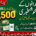 Informational banner for the bisp 8171 eligibility check sms portal featuring a smiling family, a Pakistani CNIC, and details about the 14,500 PKR March 2026 payment installment.