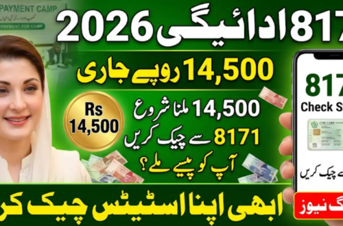 An Urdu promotional banner for the ehsaas program 8171 portal update, featuring Maryam Nawaz (Chief Minister of Punjab) on the left, a large gold 'Rs 14,500' coin in the center with cash notes, and a smartphone on the right displaying the BISP '8171 Check Status' screen and a Pakistani CNIC image with instructions to 'Check with CNIC.' The bottom has a 'Breaking News' button.